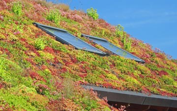 Derrytrasna living roof systems