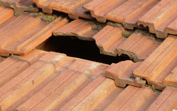 roof repair Derrytrasna, Craigavon