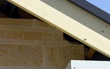 soffit repair Derrytrasna