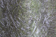 Derrytrasna fibreglass roof work